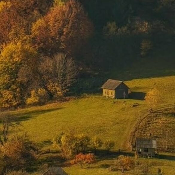 Helder Boutens op YouTube