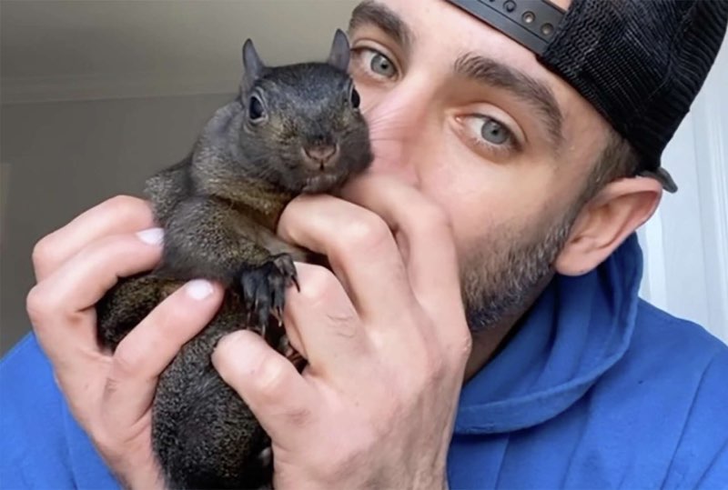 Peanut in hands of man