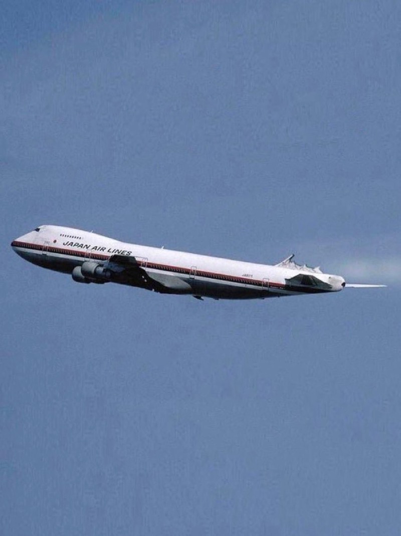 Japan Airlinse luchtvaart ramp