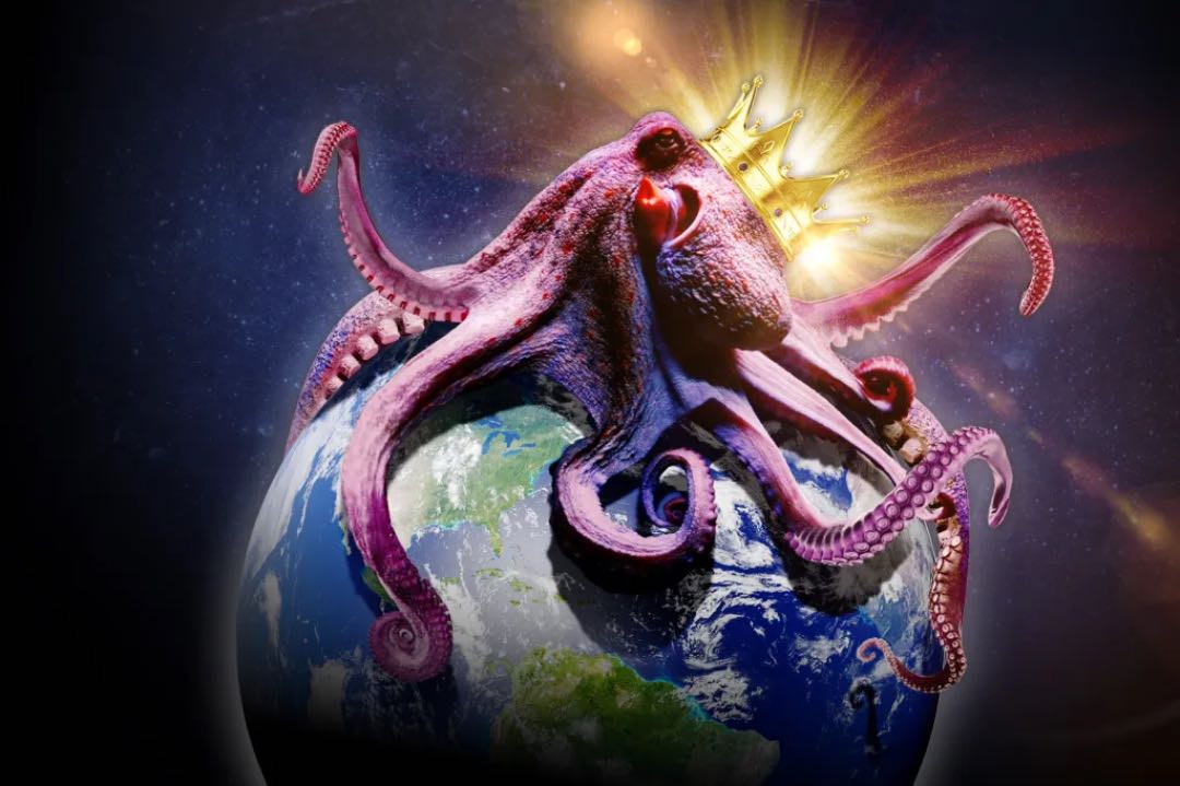 Octopus beschaving FT
