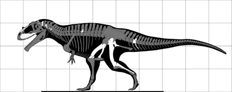 Verloren Dinosaurussoort