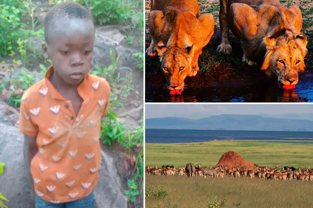 Jongen uit Zimbabwe FT
