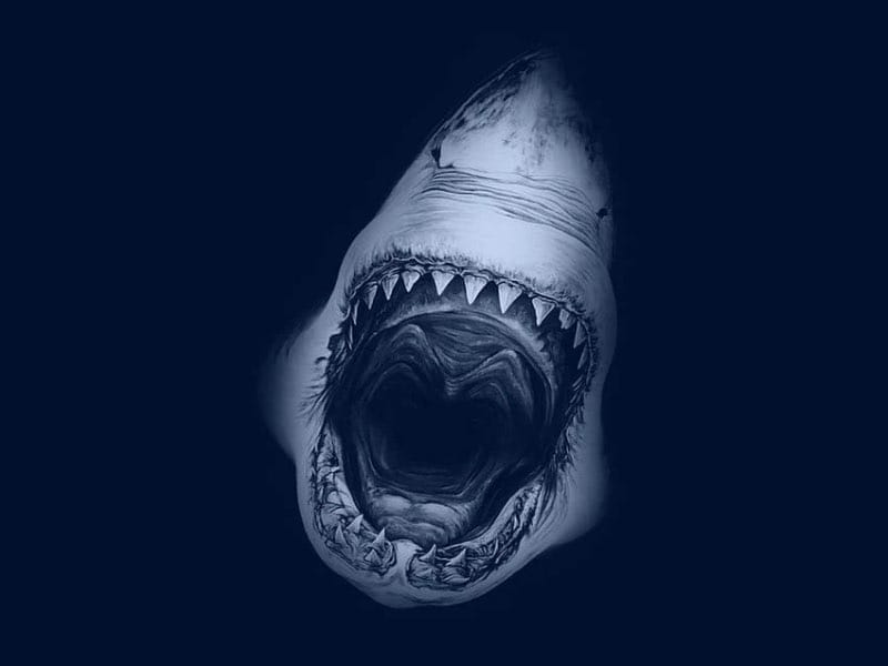 Megalodon FT