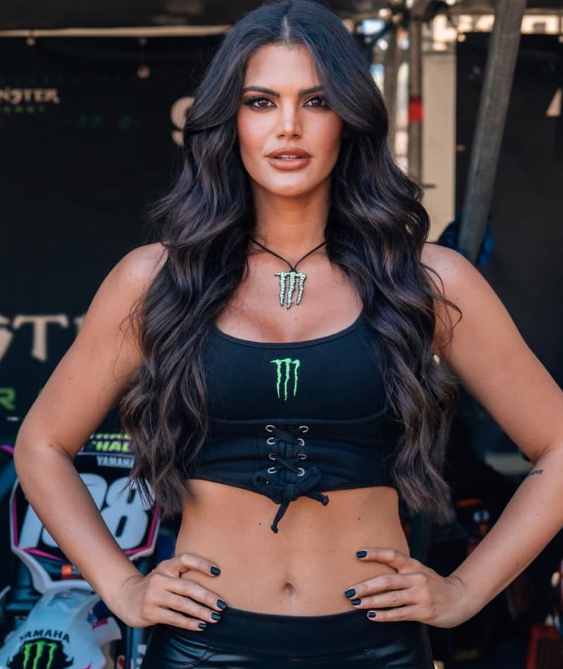 Monster energy girl