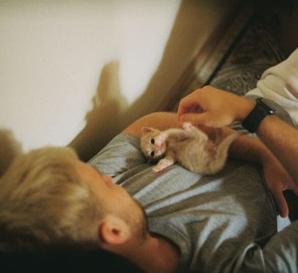 Man with kitten FT