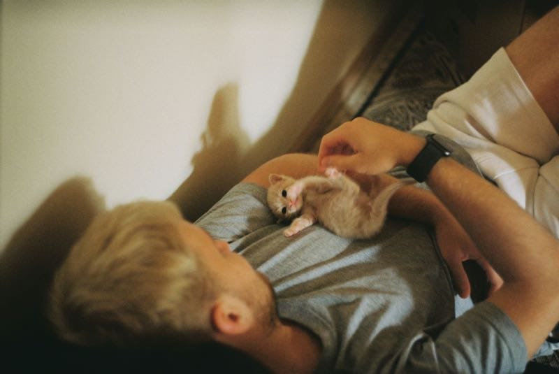 Man with kitten FT