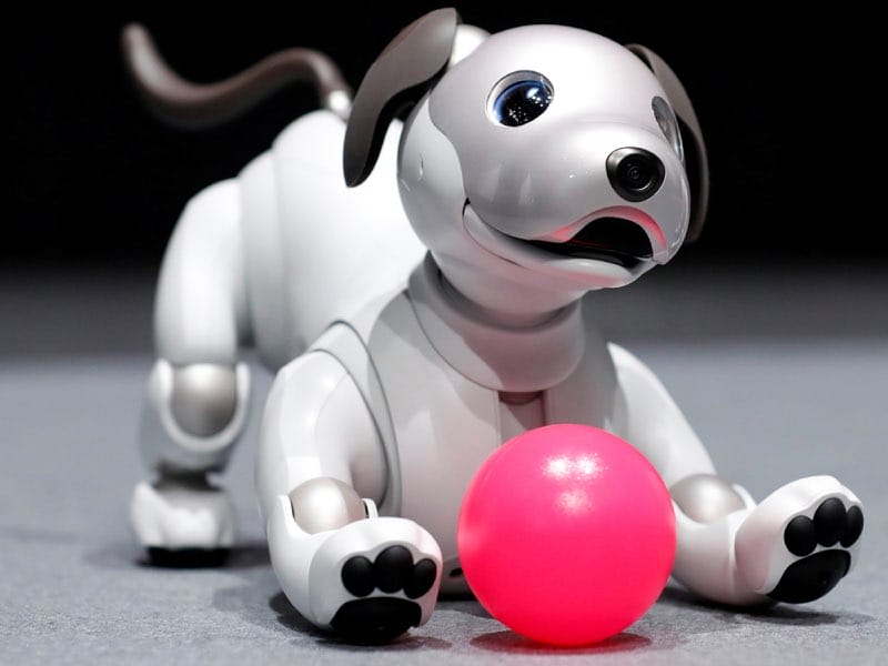 Robot huisdier met ChatGPT ai functies Furby
