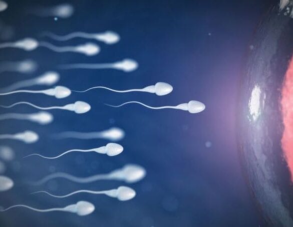 Sperma Race FT