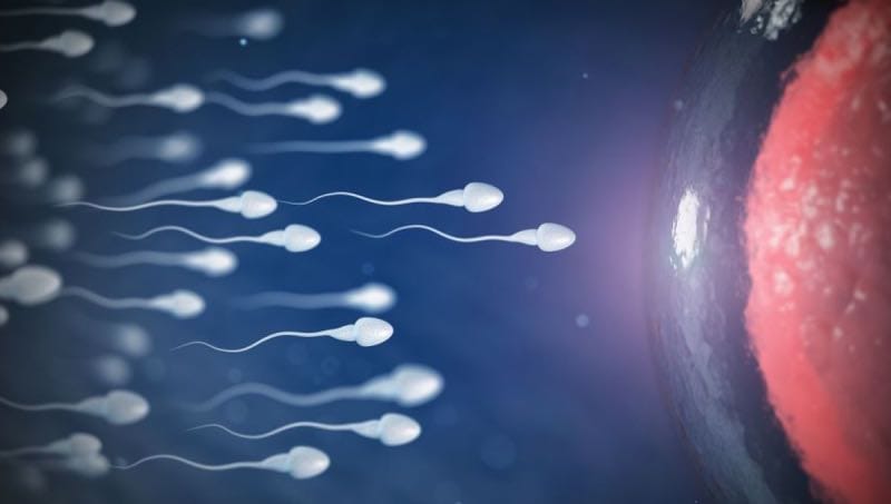 Sperma Race FT