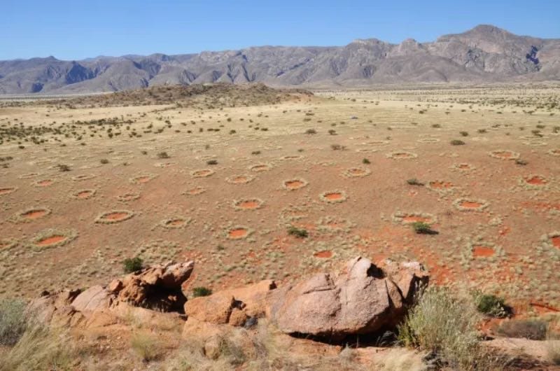 Fairy Circles natuurlijk fenomeen