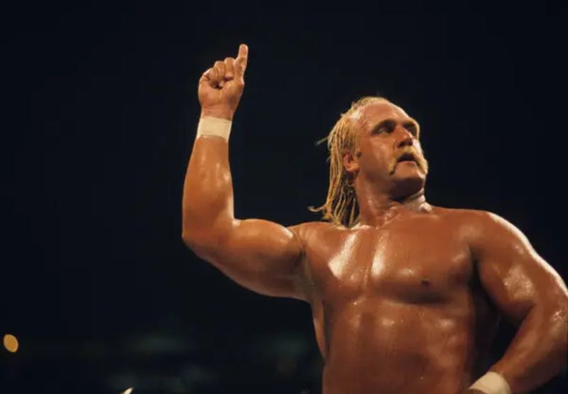 Hulk Hogan Worstelaar 