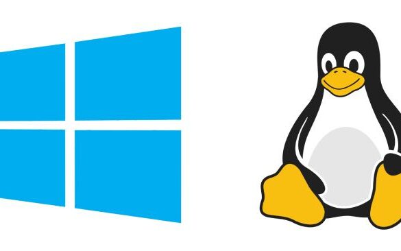 Windows VSA linux