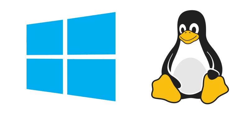 Windows VSA linux