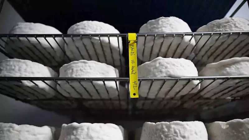 Franse kaas met Listeria bacterie