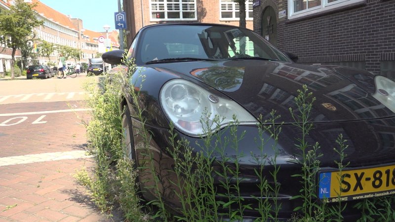 Overwoekerde Porsche