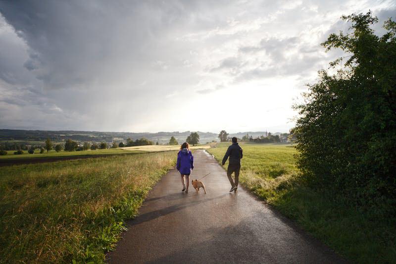Mensen wandelen met hond en zetten stappen