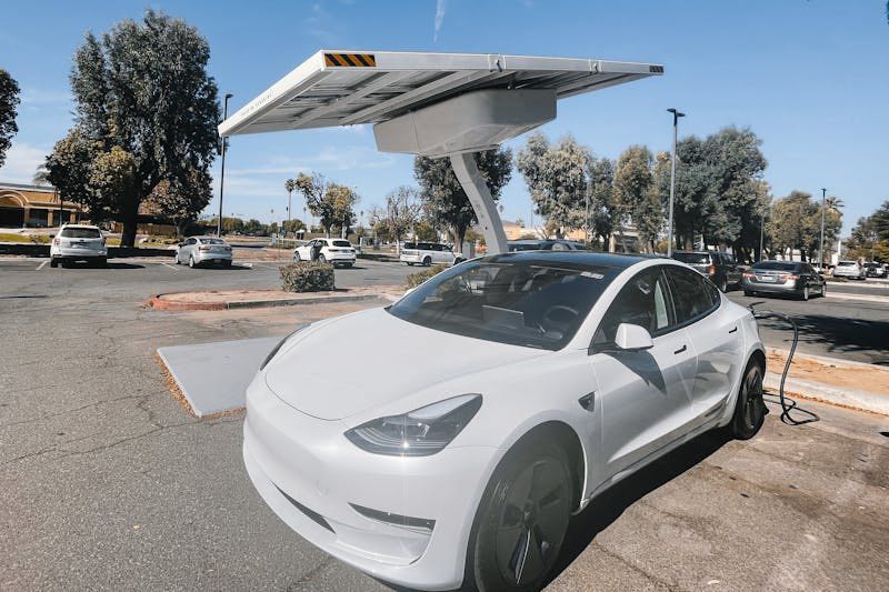 Witte tesla