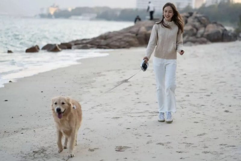 Hello.it leash