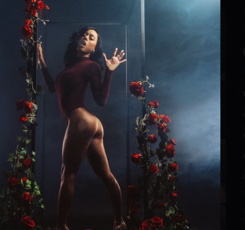 Sexy dame met dikke billen