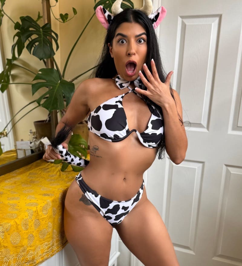 hete dame in lingerie