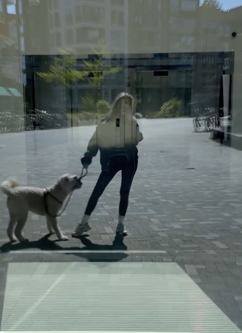 Lekker ding met hond